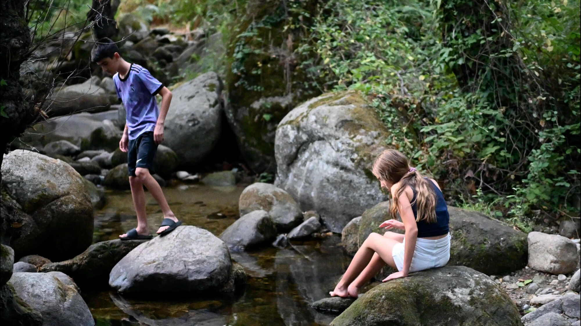 El «Jardín de papá» se estrenará en noviembre de 2026